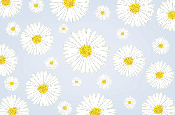 Groupe de fleurs blanches et jaunes Groupe de fleurs blanches et jaunes