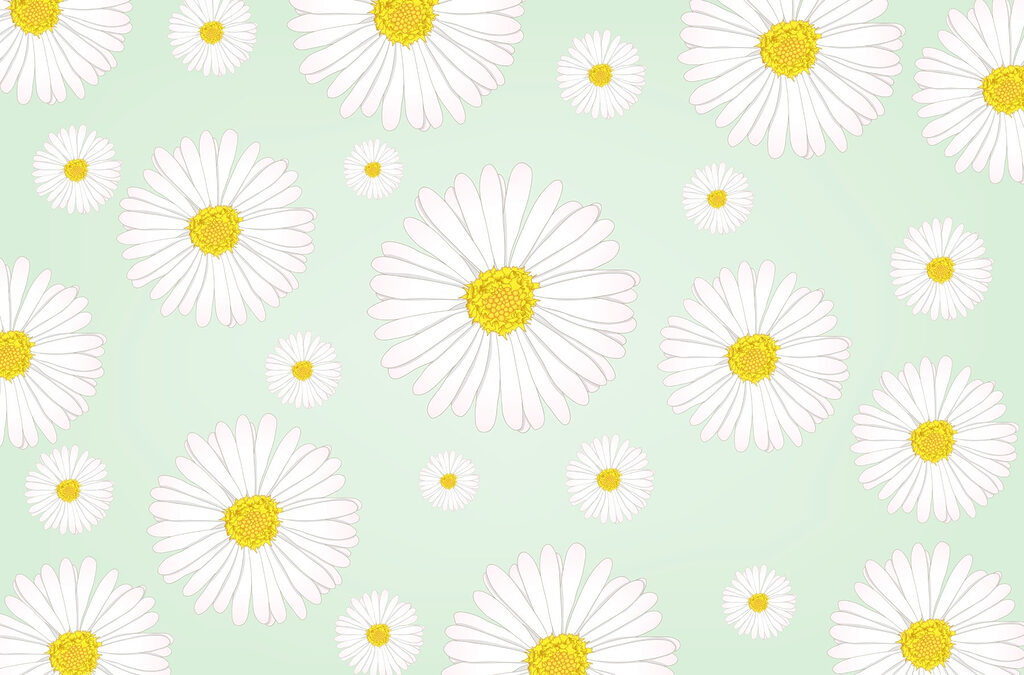 Motif de fleurs blanches et jaunes Motif de fleurs blanches et jaunes