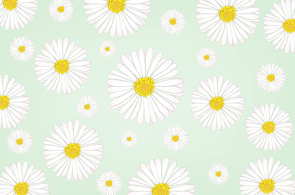 Motif de fleurs blanches et jaunes Motif de fleurs blanches et jaunes