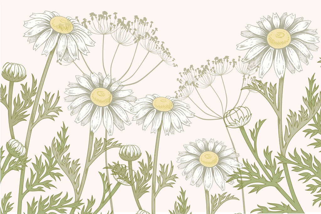Des fleurs délicates dans des teintes douces Des fleurs délicates dans des teintes douces