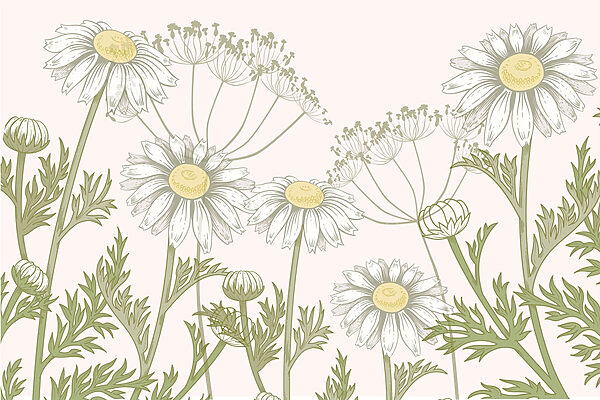 Des fleurs délicates dans des teintes douces Des fleurs délicates dans des teintes douces