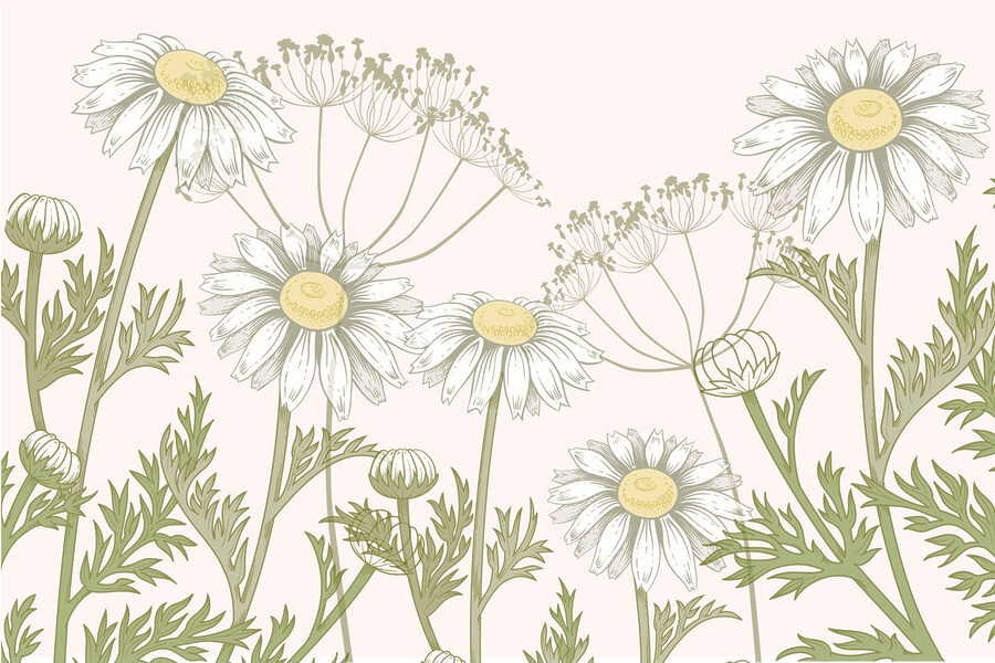 Des fleurs délicates dans des teintes douces