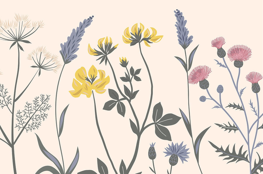 Beau bouquet de couleurs douces