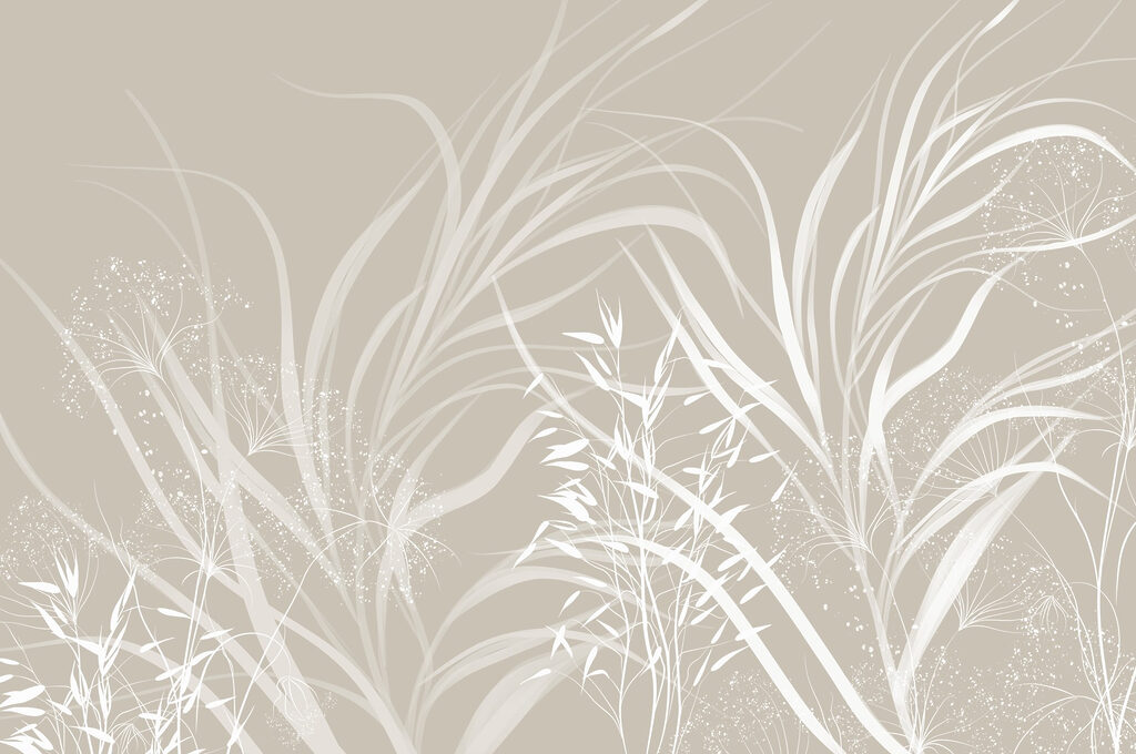 Motif floral blanc sur fond gris Motif floral blanc sur fond gris