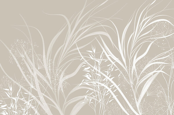 Motif floral blanc sur fond gris Motif floral blanc sur fond gris
