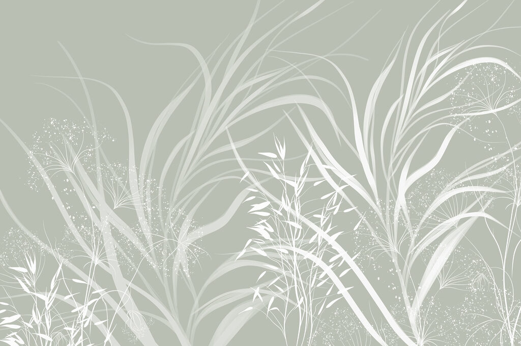 Des motifs doux de l’élégance de la nature. Des motifs doux de l’élégance de la nature.
