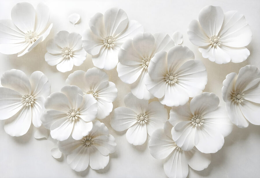 Papier peint Groupe de fleurs blanches – Image 7