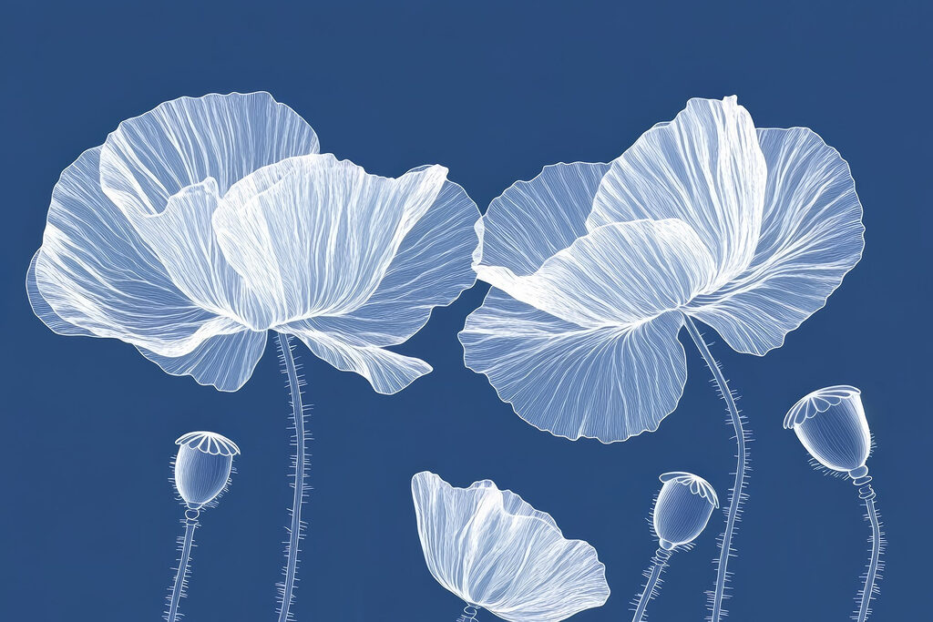 Fleurs blanches sur fond bleu Fleurs blanches sur fond bleu