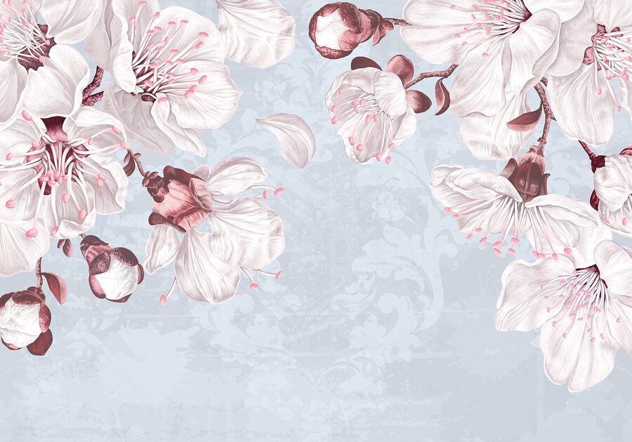 Fleurs délicates sur fond doux