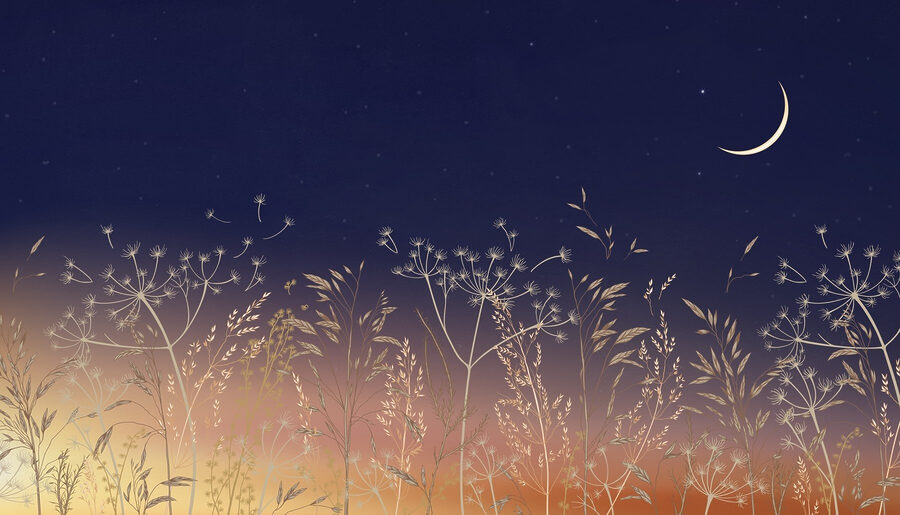 Champ d'herbe et de fleurs