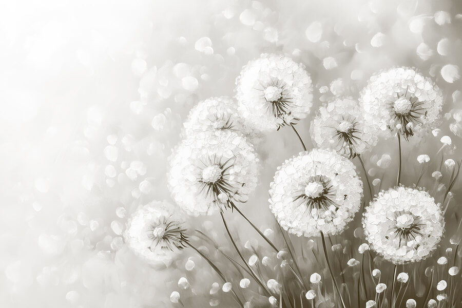 Groupe de pissenlits aux fleurs blanches