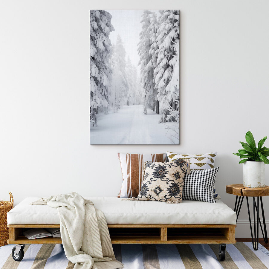 Chemin enneigé avec des arbres Chemin enneigé avec des arbres