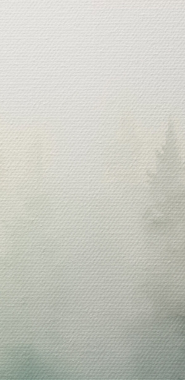Aquarelle d'arbres dans une forêt Aquarelle d'arbres dans une forêt