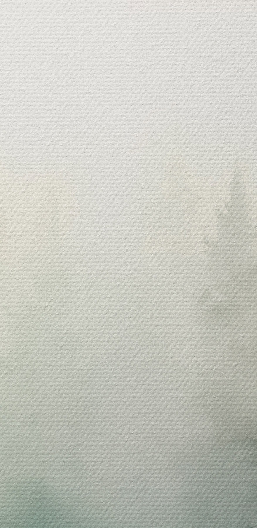 Aquarelle d'arbres dans une forêt