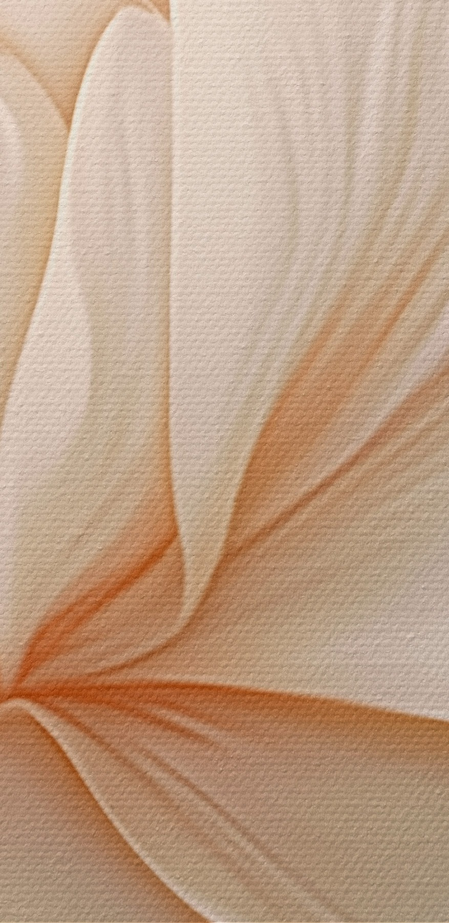 Fleur délicate dans des tons doux