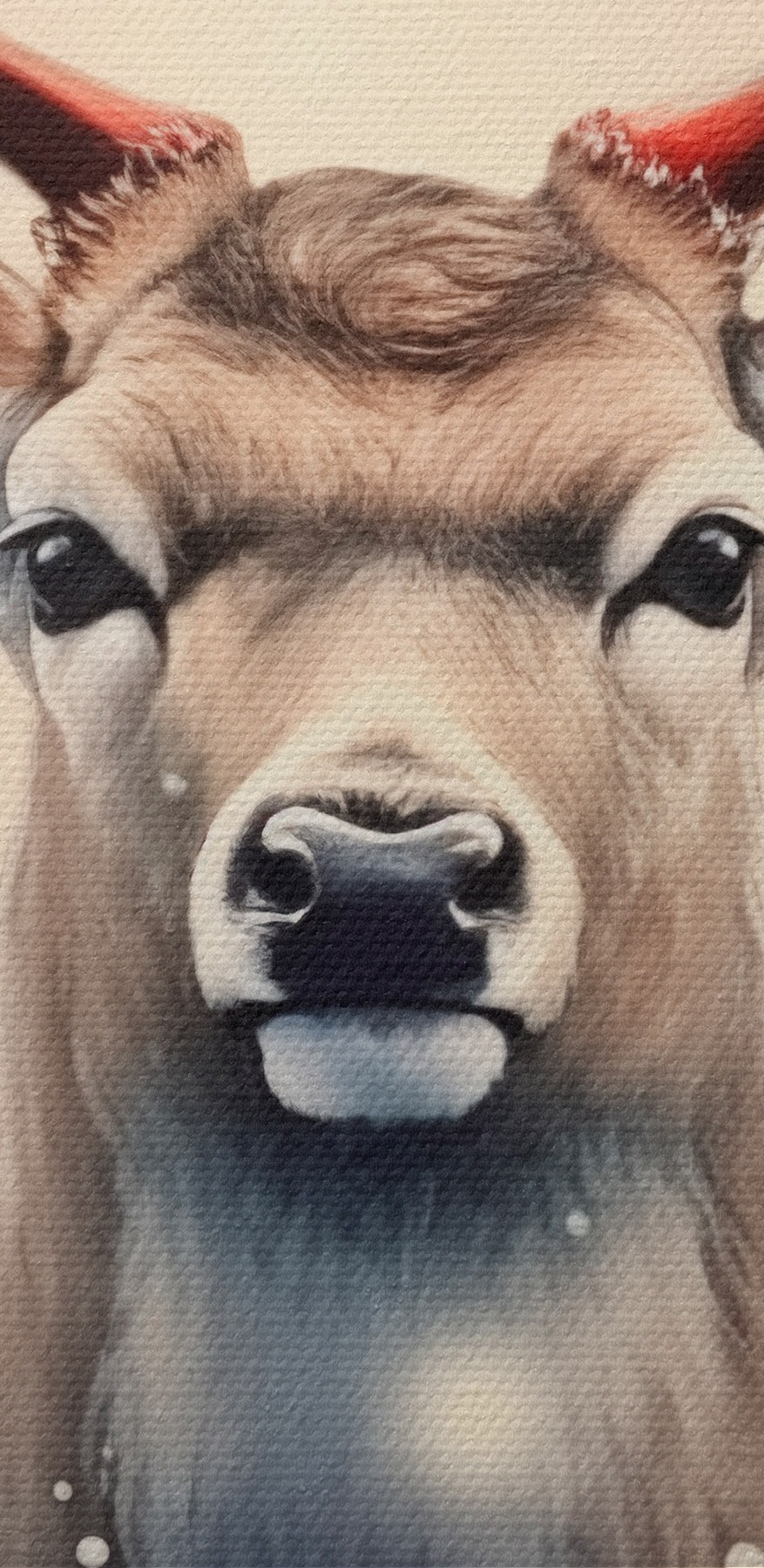 Cerf avec des bois dans une forêt enneigée Cerf avec des bois dans une forêt enneigée