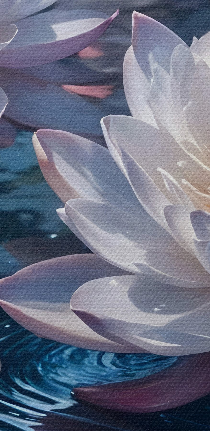 Groupe de fleurs blanches dans un étang Groupe de fleurs blanches dans un étang
