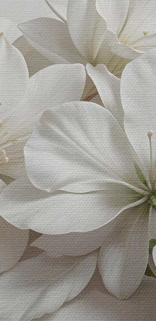 s42230pzvl 499x1024 - Groupe de fleurs blanches