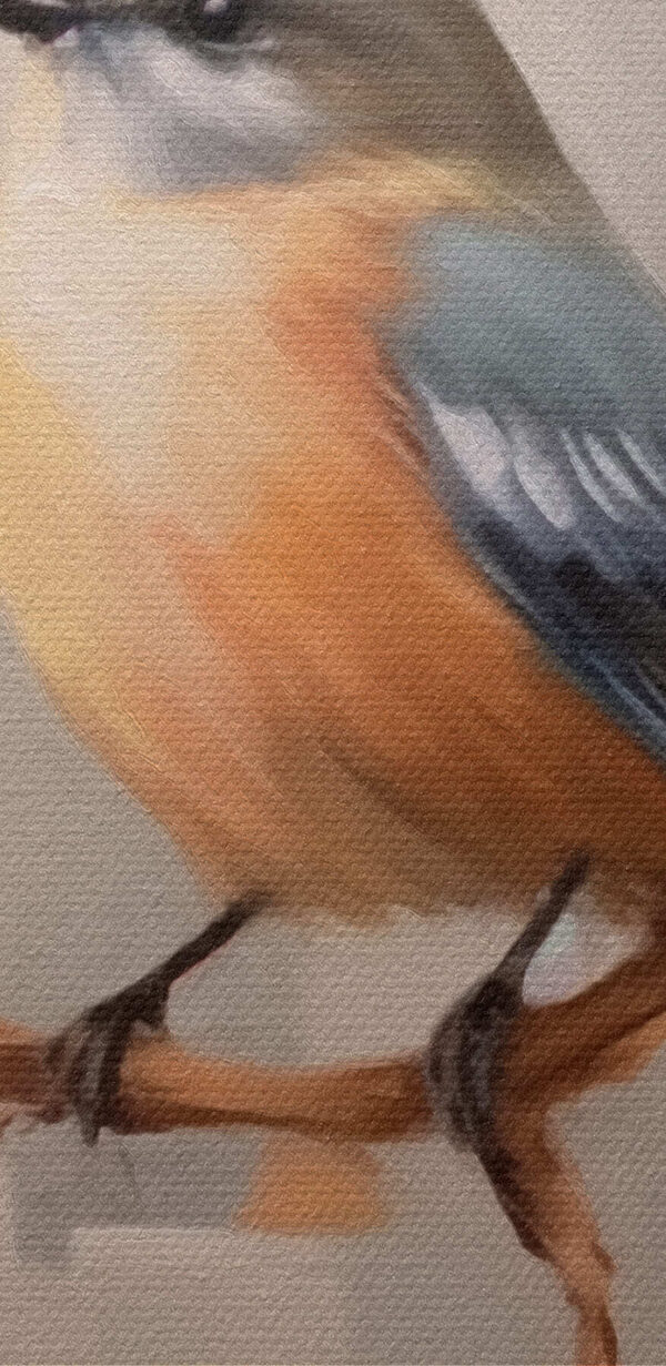 Oiseau sur une branche avec des fleurs Oiseau sur une branche avec des fleurs