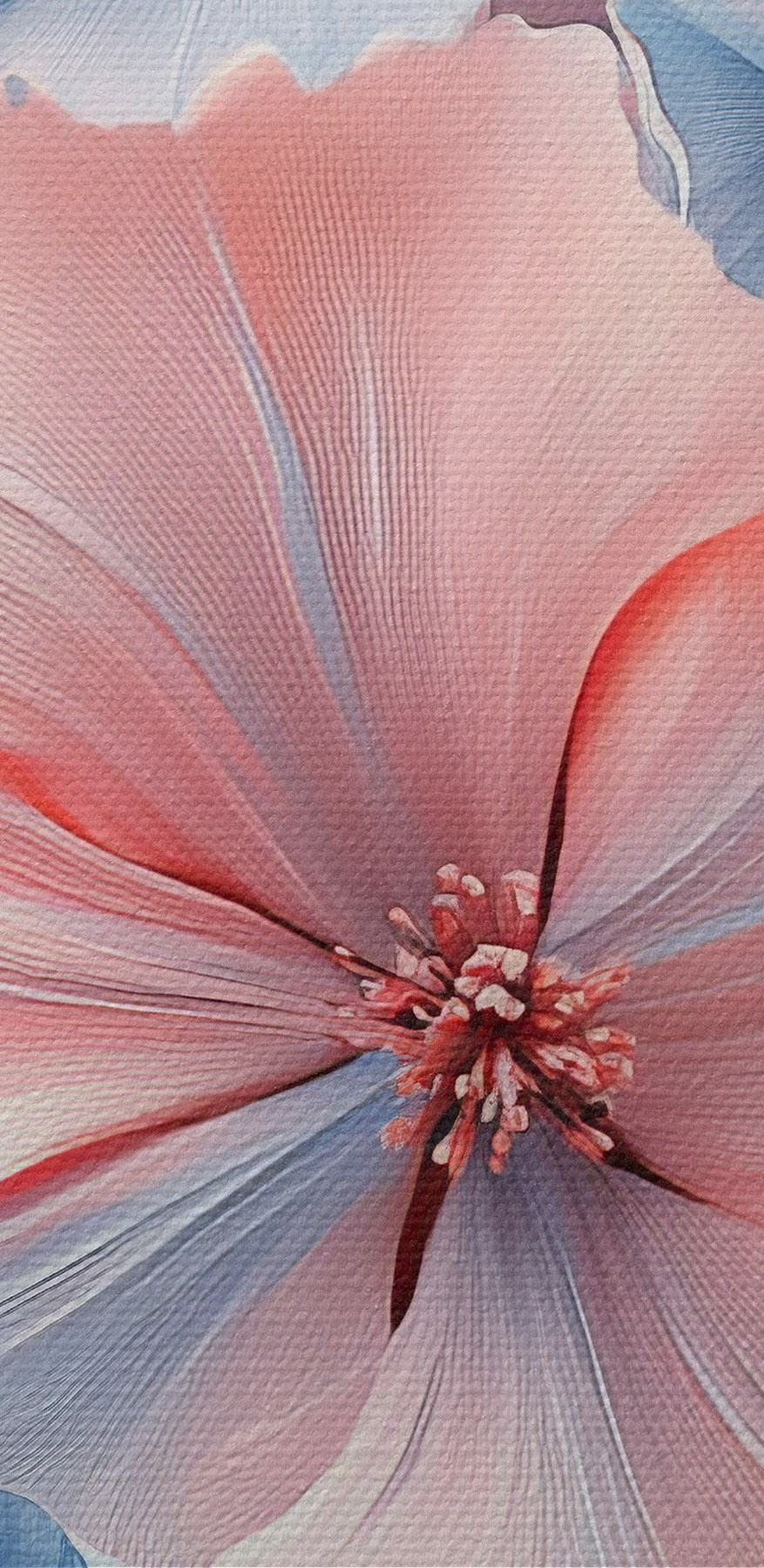 Groupe de fleurs bleues et roses