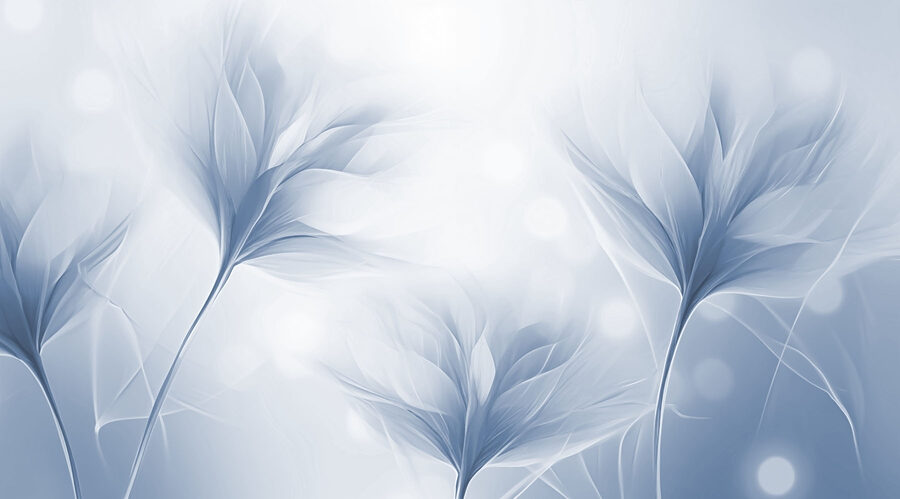 Des volutes délicates d'une beauté éthérée