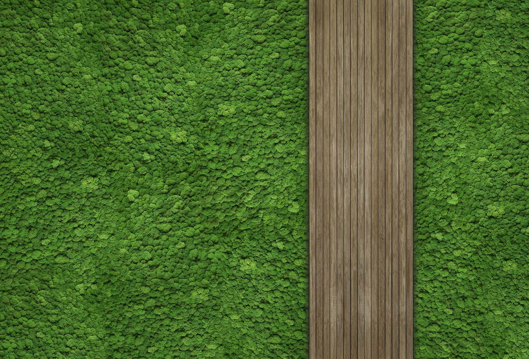 Wood plank on a green wall Wood plank on a green wall