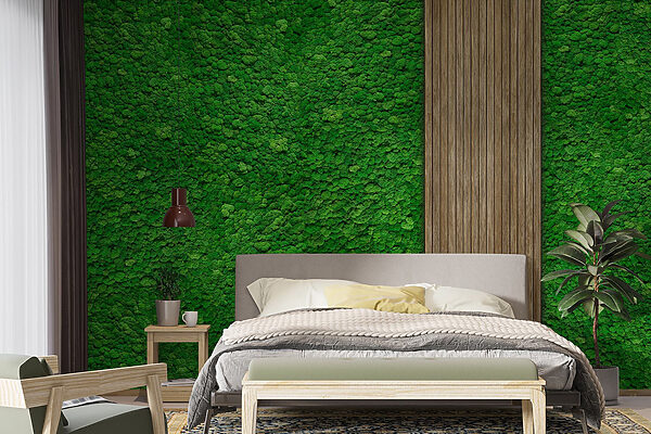 Papier peint Papier peint Planche de bois sur un mur vert (UGS : w02656)