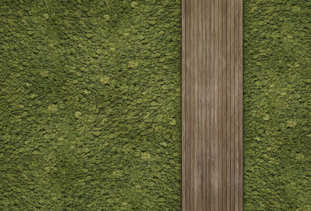 Planche de bois sur un tapis vert Planche de bois sur un tapis vert