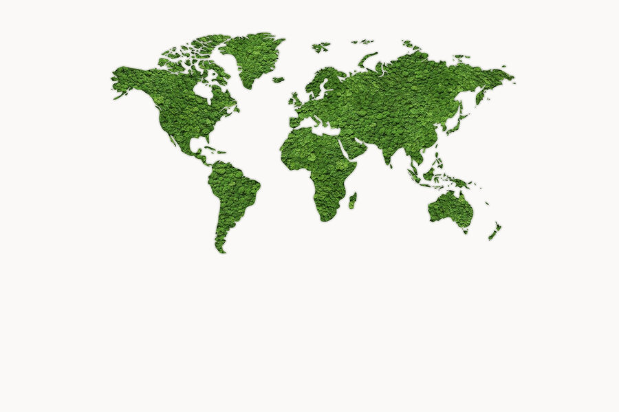 Carte du monde en plantes vertes
