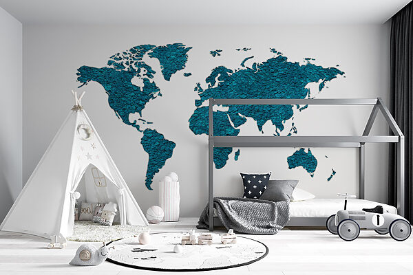 Carte du monde Carte du monde