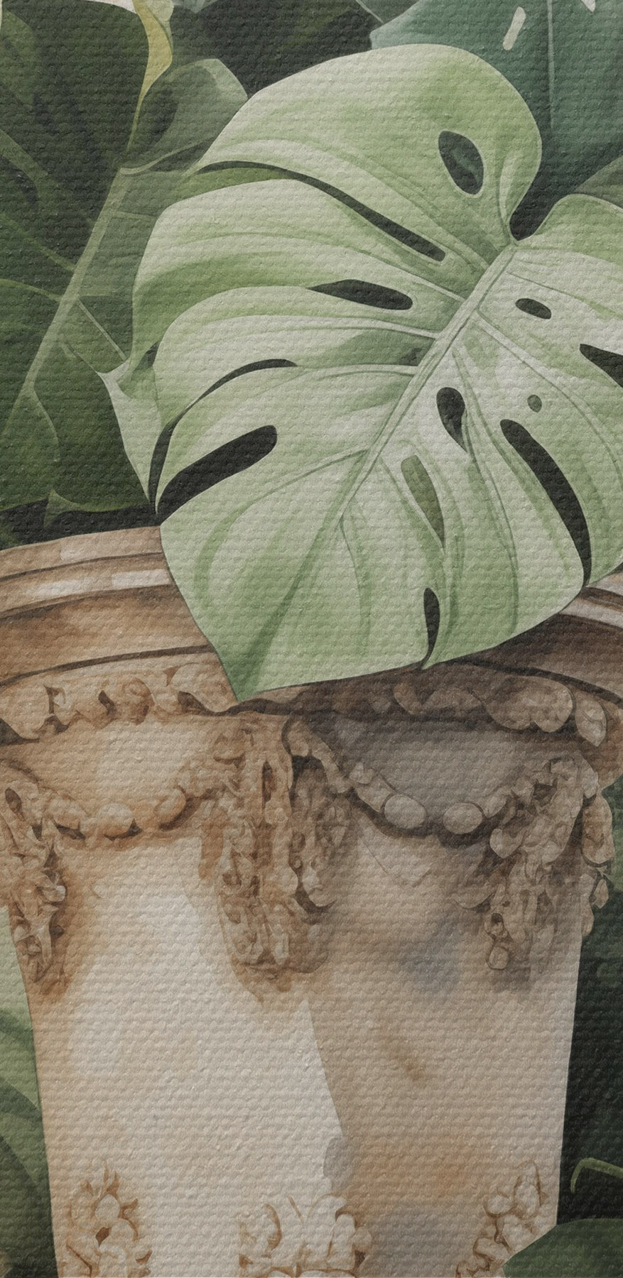 Plante dans un vase