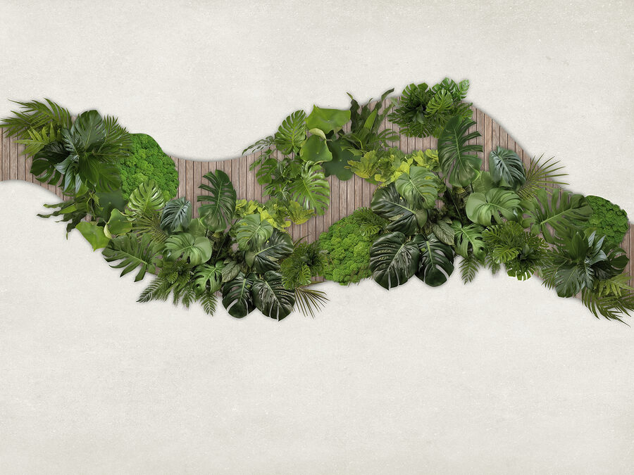 Groupe de feuilles vertes sur une surface en bois