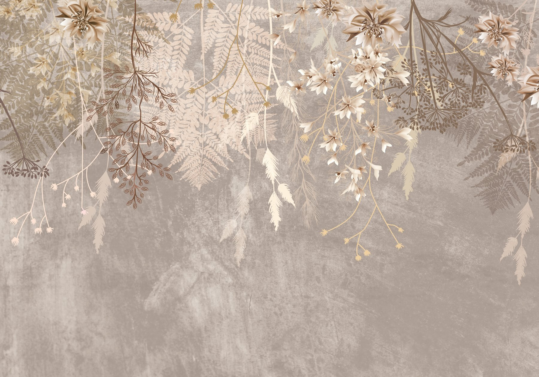 Delicate shades of nature's beauty Delicate shades of nature's beauty