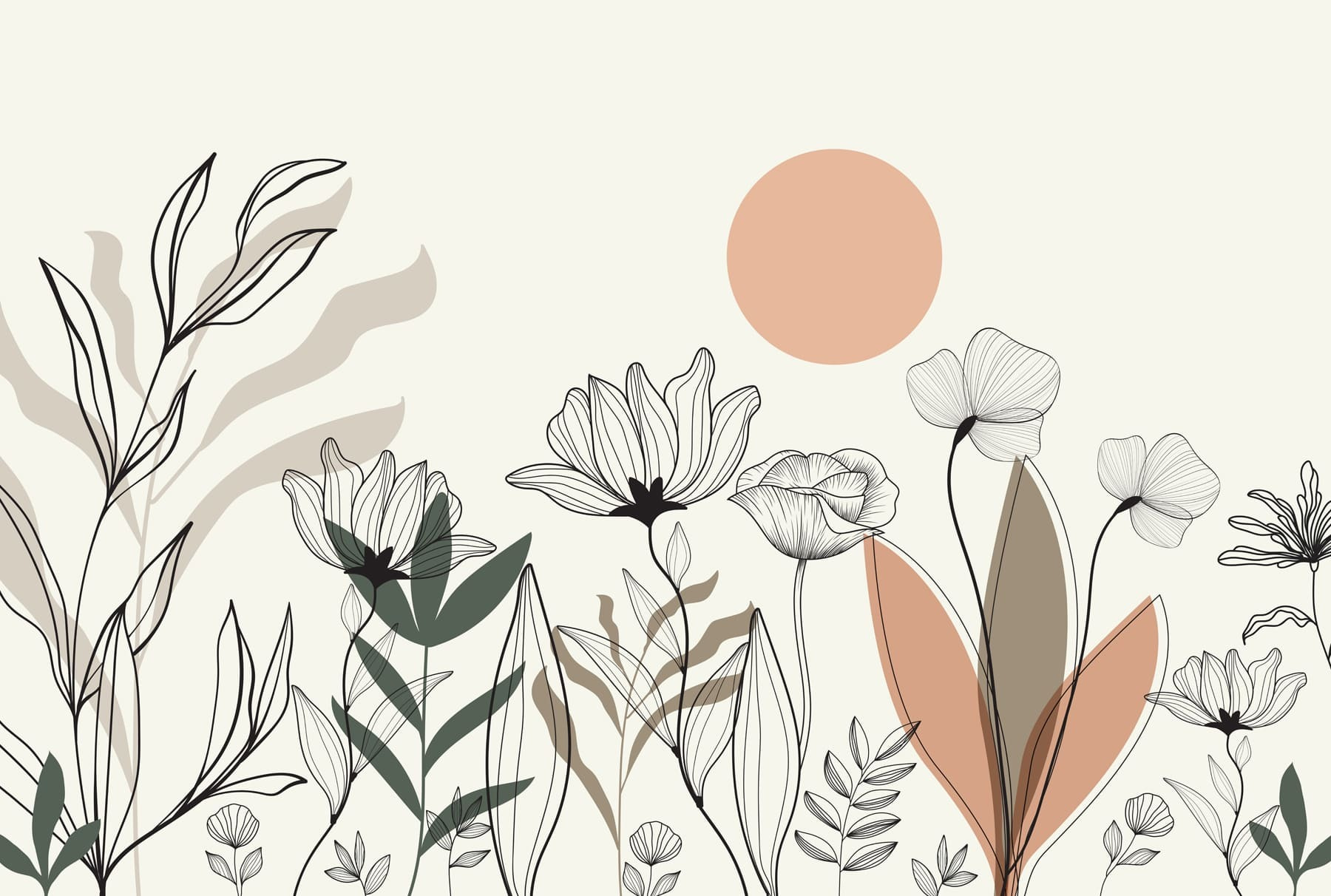 Drawing of flowers and leaves Drawing of flowers and leaves