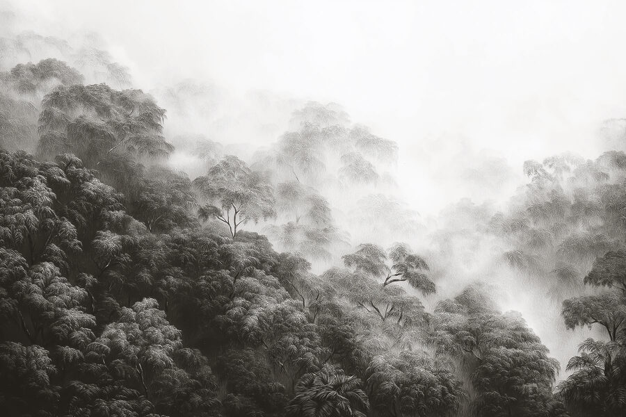 Forêt brumeuse avec des arbres Forêt brumeuse avec des arbres