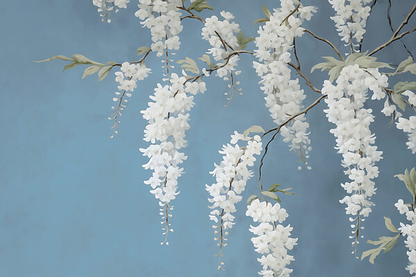 Fleurs blanches sur une branche Fleurs blanches sur une branche