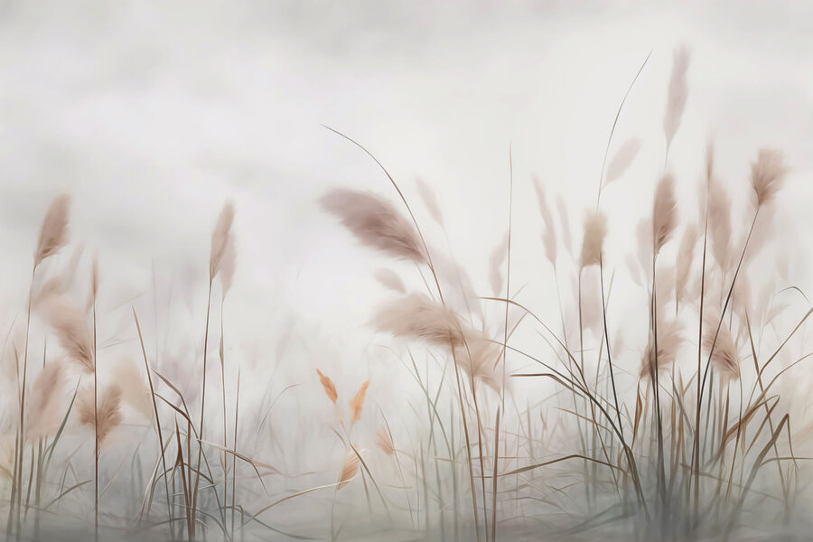 Douce brise dans les hautes herbes