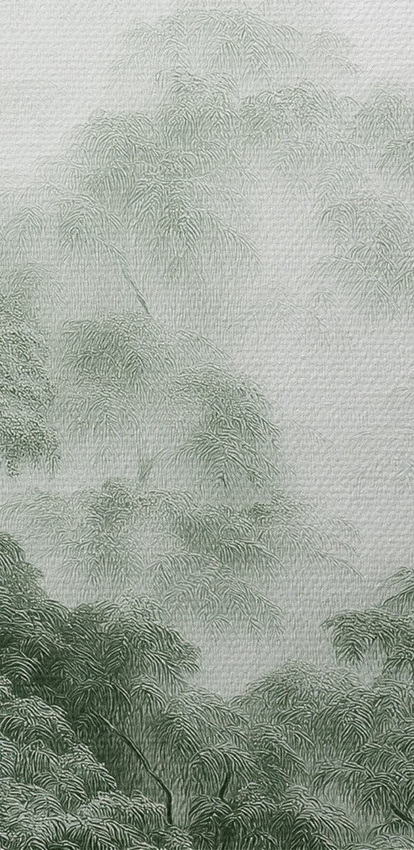 Forêt brumeuse avec des arbres Forêt brumeuse avec des arbres
