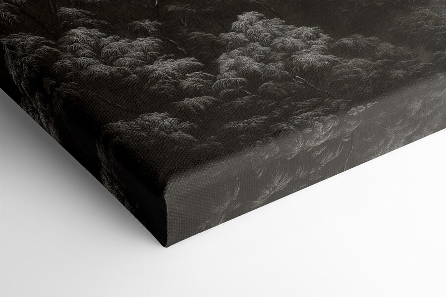Forêt brumeuse avec des arbres Forêt brumeuse avec des arbres
