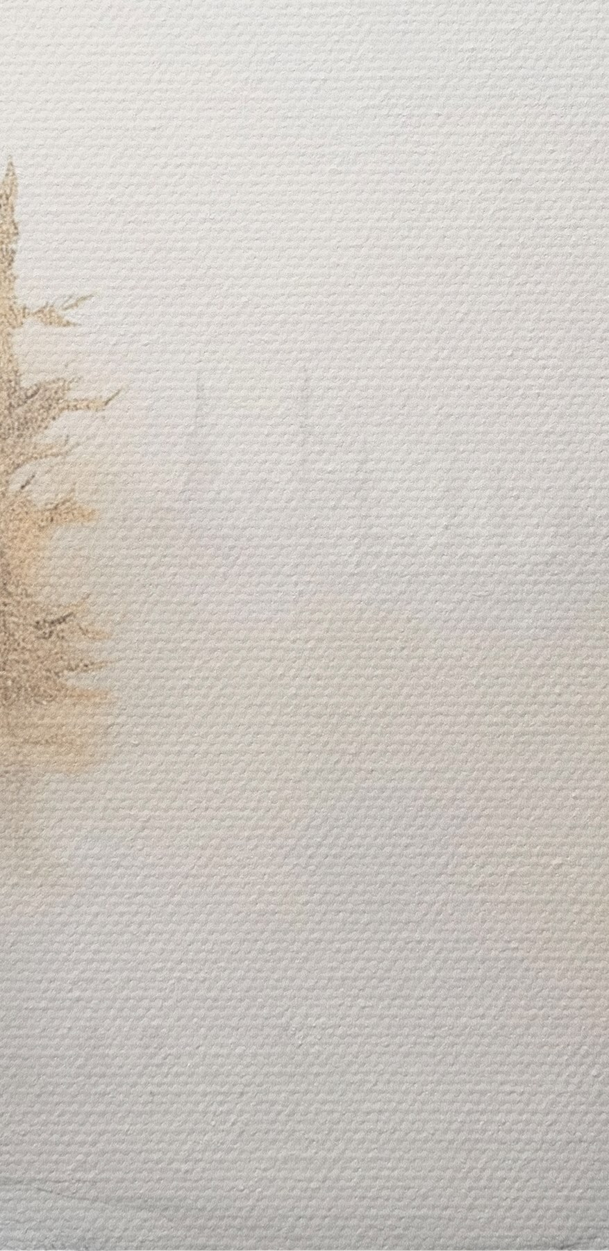 Aquarelle d'une forêt enneigée