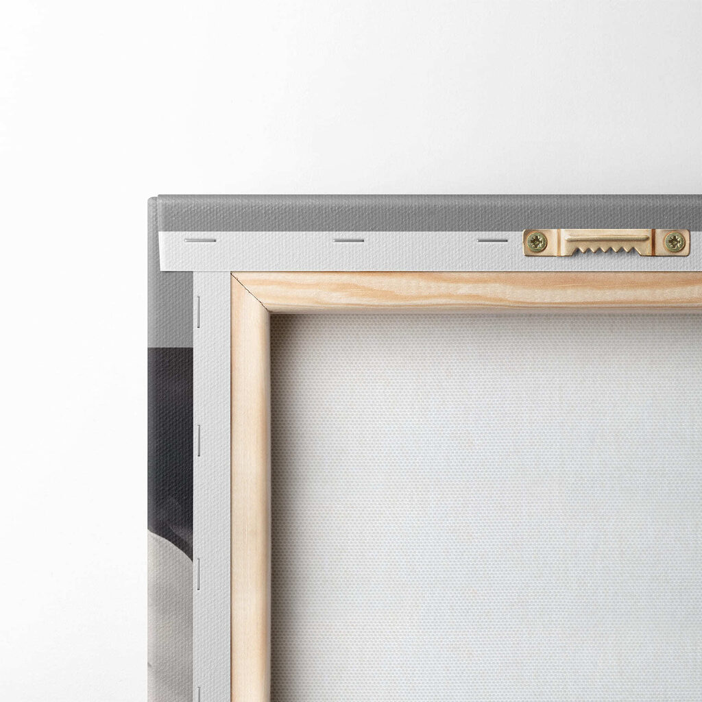 White flower with yellow center