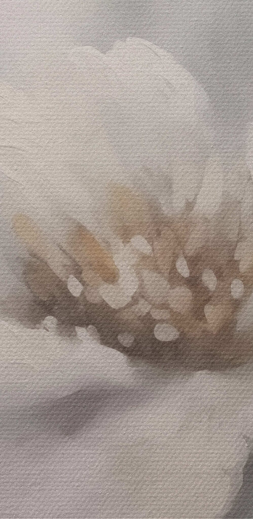 White flower with yellow center