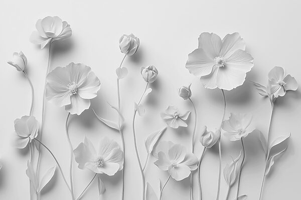 Groupe de fleurs blanches Groupe de fleurs blanches