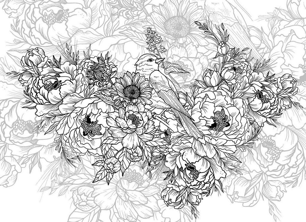 Oiseau sur une fleur Oiseau sur une fleur