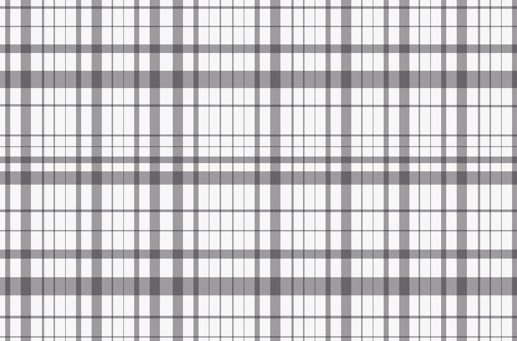Écossais gris et blanc Écossais gris et blanc