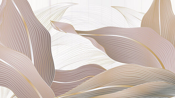 Lignes fluides et couleurs douces Lignes fluides et couleurs douces