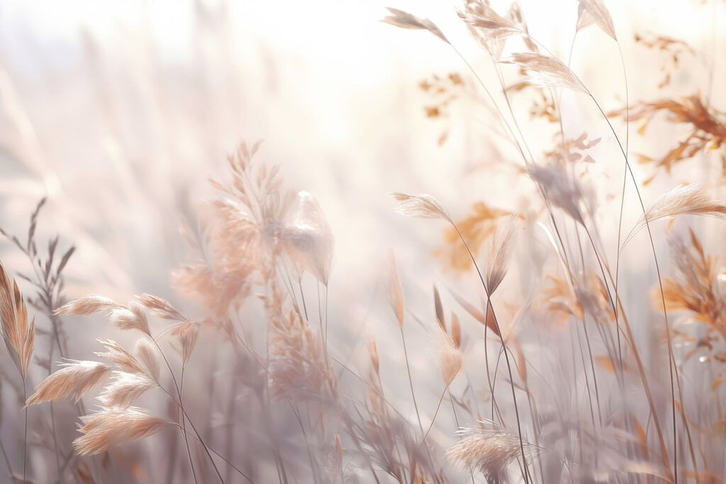 Soft whispers of nature's beauty