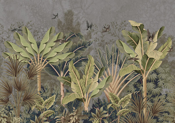 Fond d'écran avec une forêt tropicale Fond d'écran avec une forêt tropicale