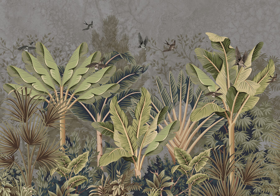 Fond d'écran avec une forêt tropicale