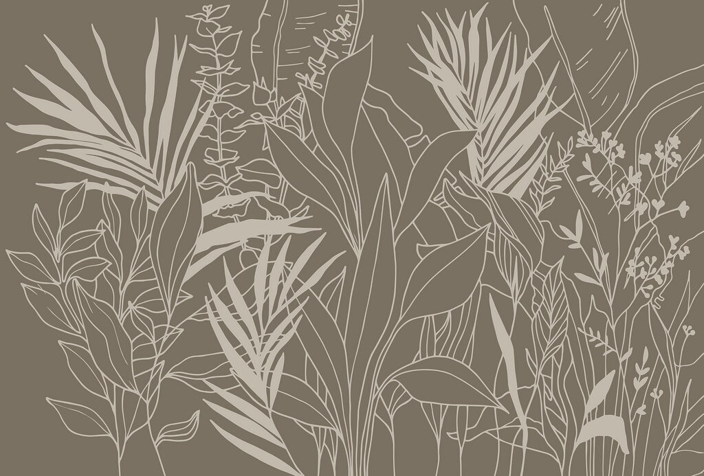 Dessin de plantes et de feuilles Dessin de plantes et de feuilles